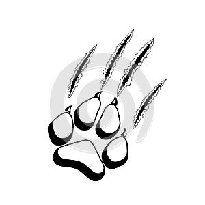 Sharp-clawed paw scratches a background