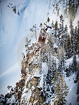 Sharp cliff covered in green pine trees and fresh fallen snow. yellowstone photo