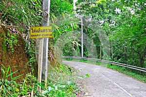 The sharp curve among the wildness