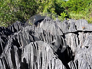 sharp gray rocks of Tsinga Bemaraha, a UNESCO World Heritage Site above, are then green. Madagascar