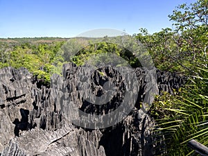 sharp gray rocks of Tsinga Bemaraha, a UNESCO World Heritage Site above, are then green. Madagascar