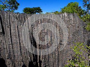 sharp gray rocks of Tsinga Bemaraha, a UNESCO World Heritage Site above, are then green. Madagascar