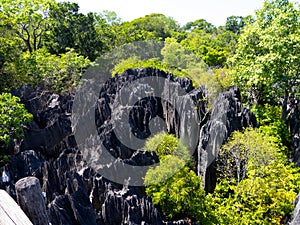 sharp gray rocks of Tsinga Bemaraha, a UNESCO World Heritage Site above, are then green. Madagascar