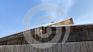 Sharp icicles from melted snow hanging from eaves of roof. Beautiful transparent icicles. Icicles on the eaves of the