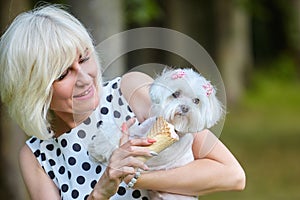 Almost sharp photo. An adult woman seduces a Maltese lapdog with ice cream