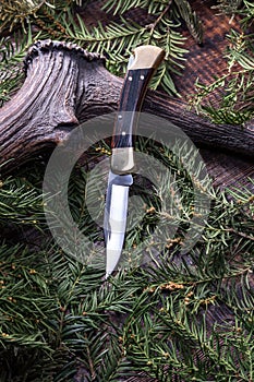 A sharp pocket knife for hunters. Folding american knife