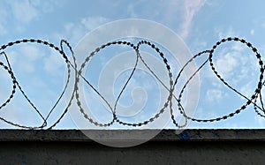 Sharp protective barbed wire with sharp prongs on the fence