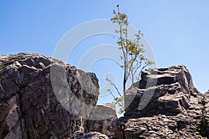 Sharp rocks, lonely tree and a blue sky