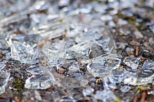 Sharp shards of a broken glass bottle on the ground with sharp blades are dangerous from vandalism and drunk people