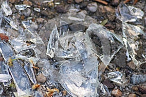 Sharp shards of a broken glass bottle on the ground with sharp blades are dangerous from vandalism and drunk people