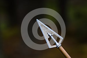 Sharp steel arrow blade, hunting weapon