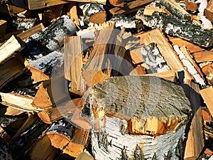 Sharp stump and background of birch firewood texture