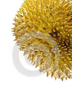 sharp thorns on durian skin with white background