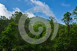 Sharp Top Mountain, Blue Ridge Mountain, Virginia, USA