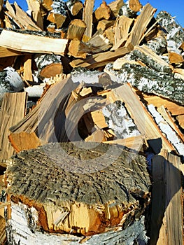 Sharp tree stump stand and background of birch firewood texture