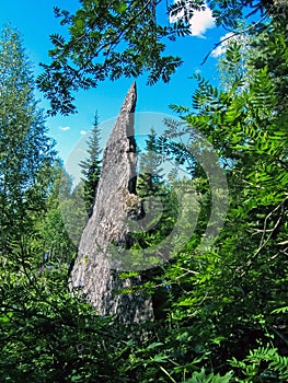 Sharp Tremolite Rock