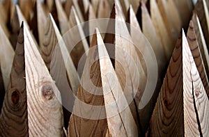 Sharp wooden posts in rows