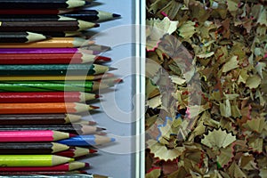 Sharpened color pencil and pencil shavings in a box