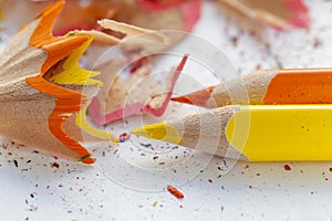 Sharpened colourful pencils and wood shavings