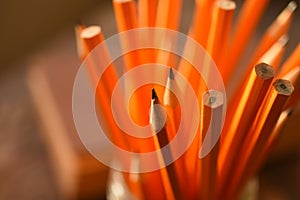 Sharpened Yellow Pencils Close Up