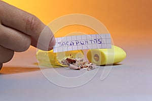 Sharpener with piece of paper saying Sacapuntas in Spanish photo