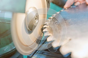 Sharpening Circular Saw, worker sharpens a circular saw blade