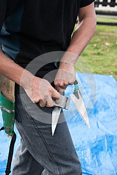 Sharpening of shearing blades