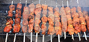 Shashlick laying on the grill closeup