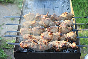 Shashlick laying on the grill closeup