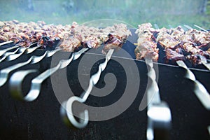 Shashlik photo