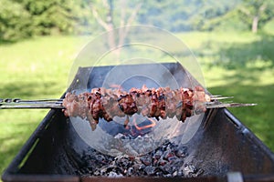 Shashlik