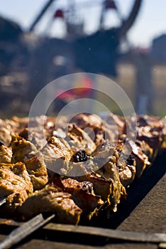 Shashlik on Grill