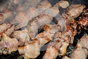 Shashlik / kebab / skewer / barbecue