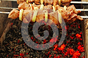 Shashlik on live coals