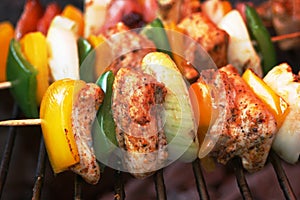 Shashlik on spit