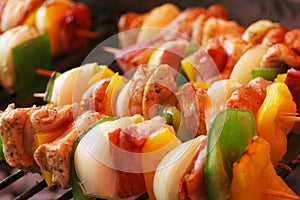 Shashlik on spit