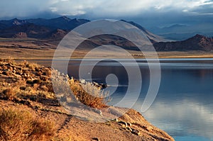 Shatsagay nuur lake in mongolia