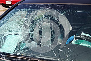 Shattered Car Windshield