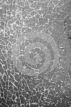 Shattered glass pane in black and white, covered in small cracks.