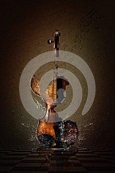 Shattered Violin in Water