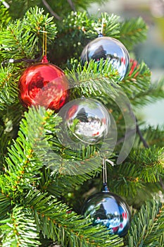 Shatterproof ball ornament on Christmas Tree
