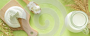Shavuot concept - dairy products and wheat on green wood background
