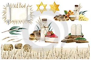 Shavuot greeting template compositions with Jewish symbols. Watercolor illustration set with scroll, tablets wheat field