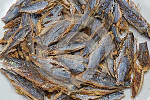 Shawa fish Herring or sardine