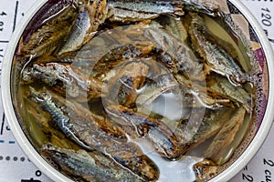 Shawa fish Herring or sardine soaked in boiling water with salt
