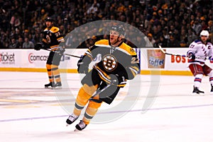 Shawn Thornton Boston Bruins