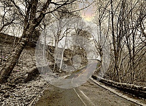 Shay Lane in winter, with bare old trees, and stone walls in, Heaton Bradford, UK