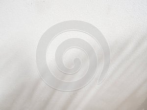 Shdow palm leaf minimalism backdrop background for mock up