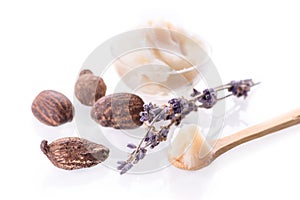 Shea butter and nuts