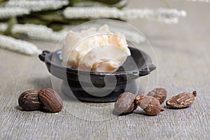 Shea butter nuts on white